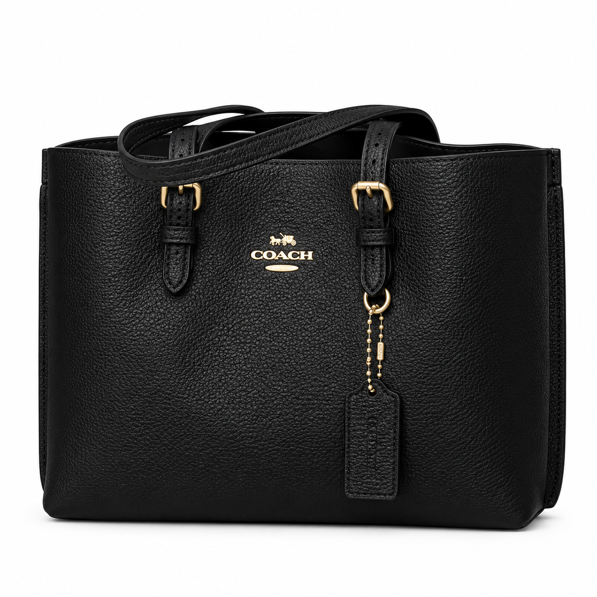 Coach Mollie Tote Bag 25