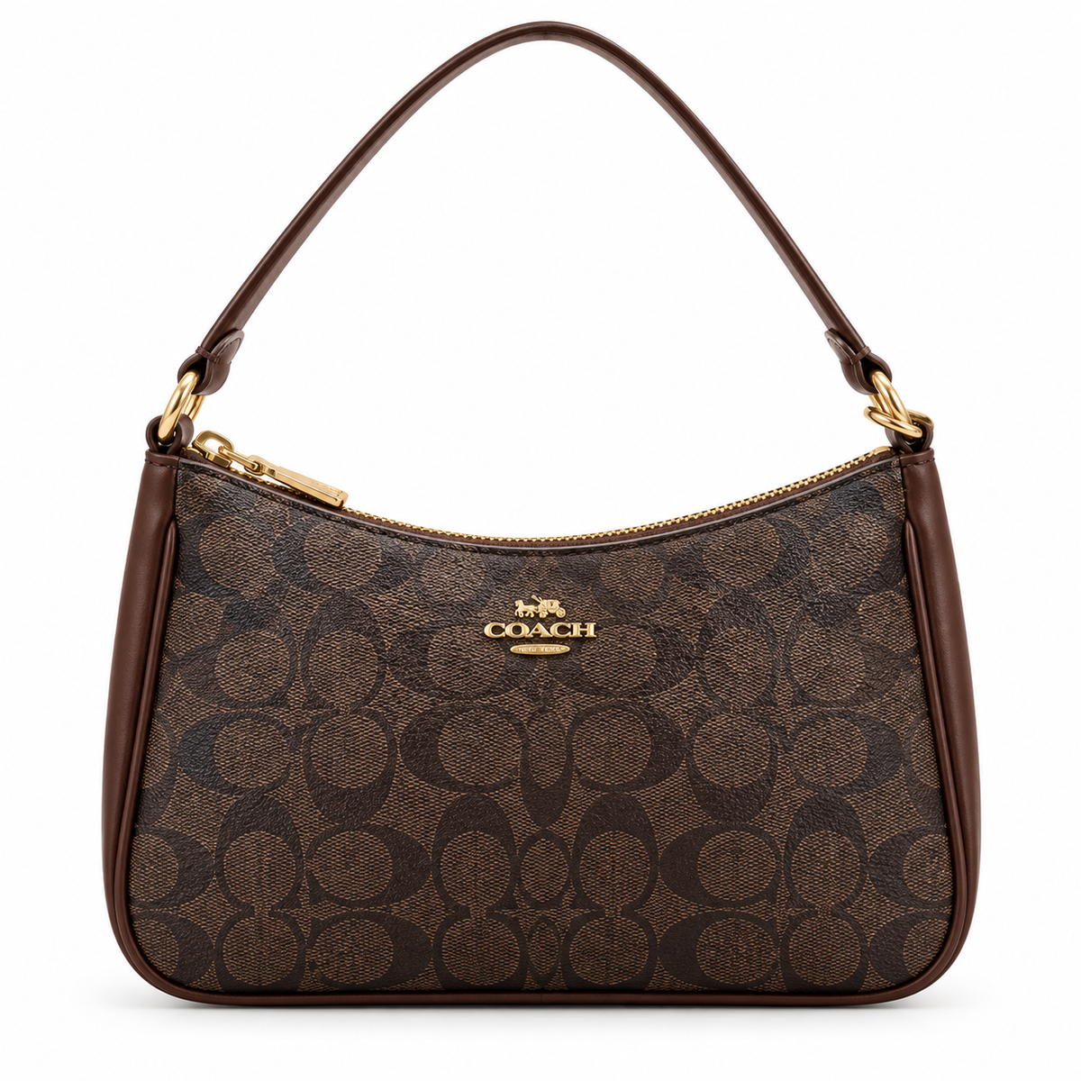Coach bag luxury
