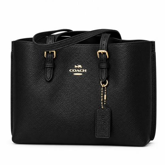 Coach Mollie Tote Bag 25