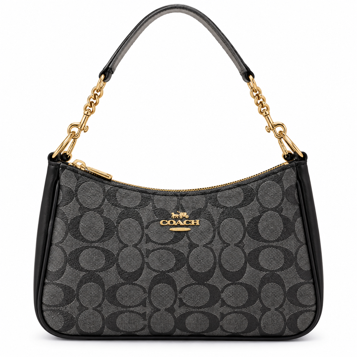 Coach bag luxury