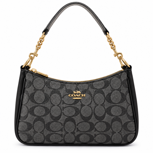 Coach bag luxury