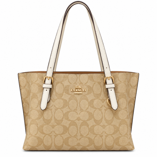 Coach luxury bag